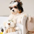 3. fotó (Gal_img-position_3): Chanel